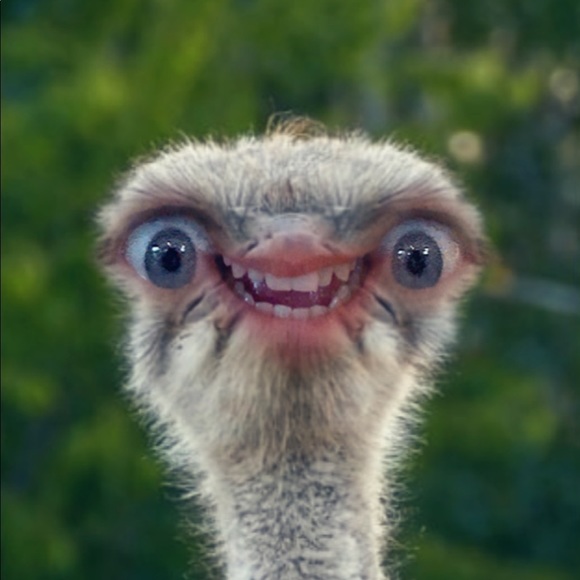 Meet your Posher, Amy - Picture 1 of 1